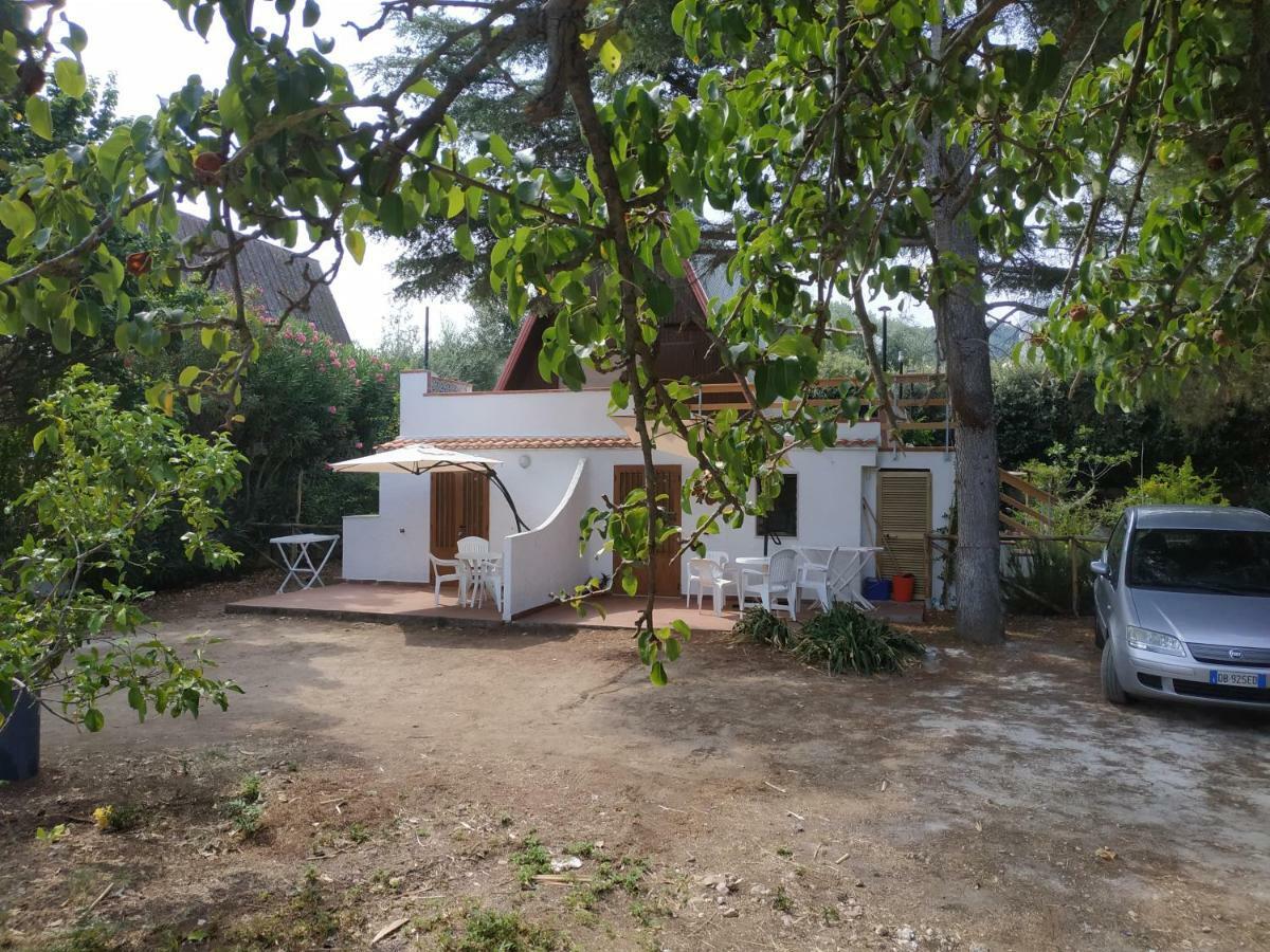 Villino Del Duca Daire Peschici Dış mekan fotoğraf